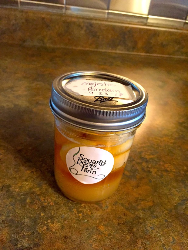 Garlic Honey Jar